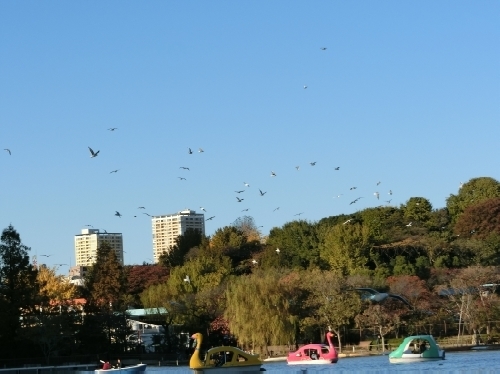 15.11.29.jpg