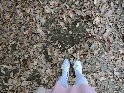 15.11.18a.jpg