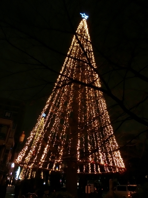 15.12.13d.jpg
