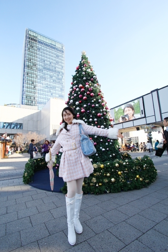 15.12.26d500.jpg