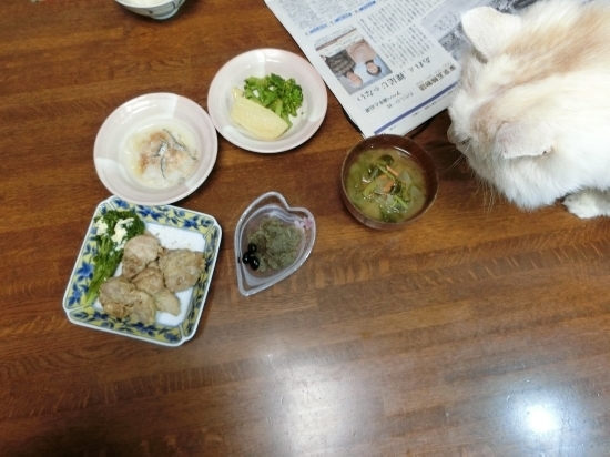 16.02.15c.jpg