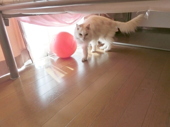 16.02.20e.jpg