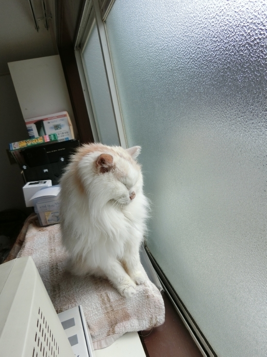 16.02.20f.jpg