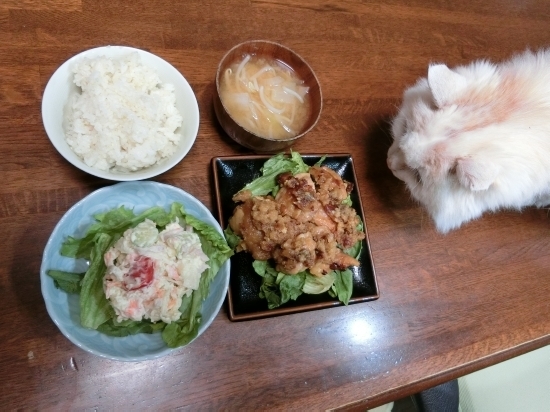 16.02.23e.jpg