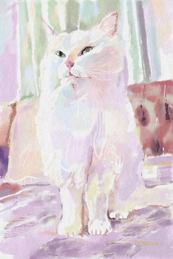 16.03.03scb550.png
