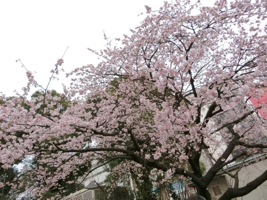 16.03.07g.jpg