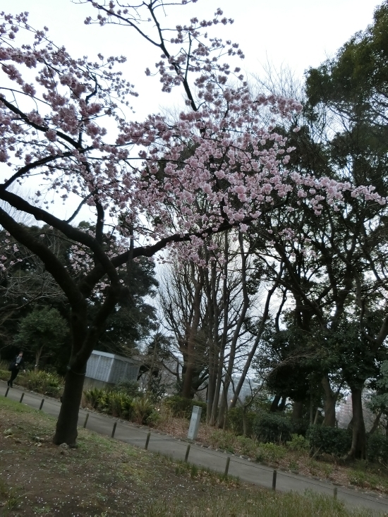 16.03.11a.jpg