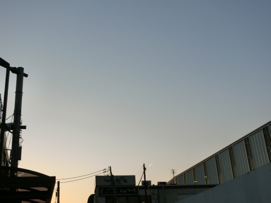 16.03.11b.jpg