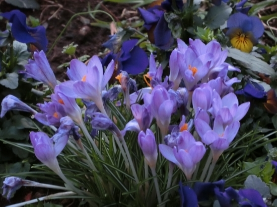 16.03.11c.jpg