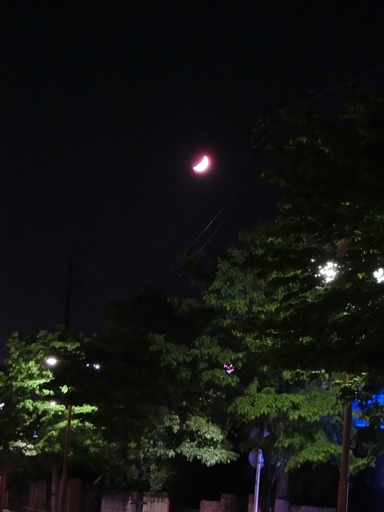 16.05.13c.jpg