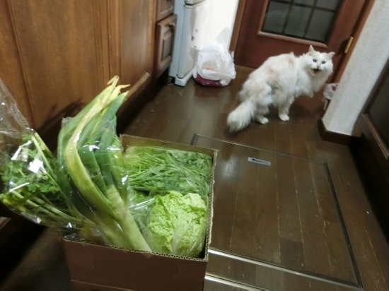 16.05.19i.jpg