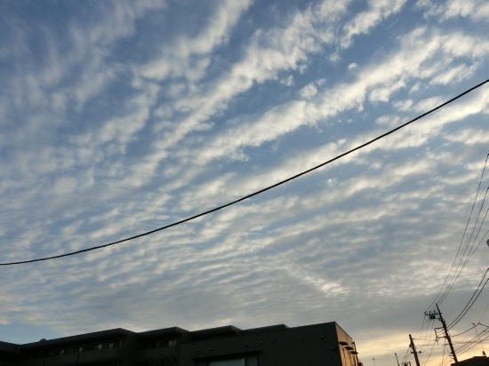 16.05.21h.jpg