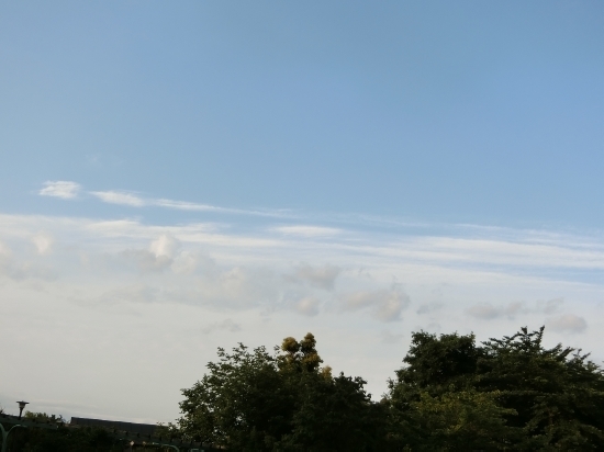 16.05.22b.jpg
