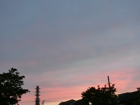 16.05.25e.jpg