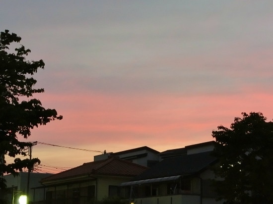 16.05.25f.jpg