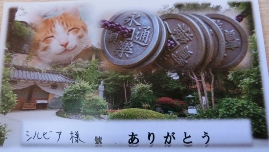 16.05.6n.jpg