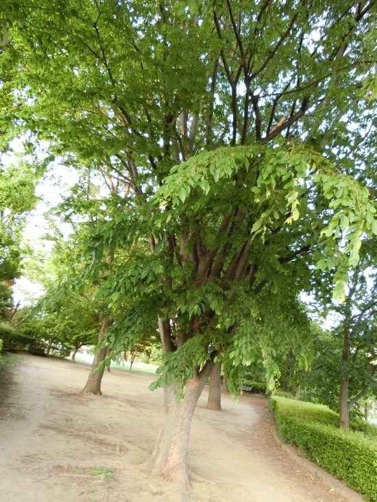 16.05.8b.jpg