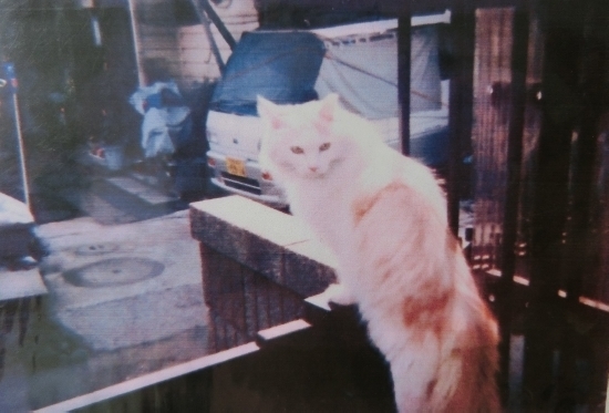 16.06.03c.jpg
