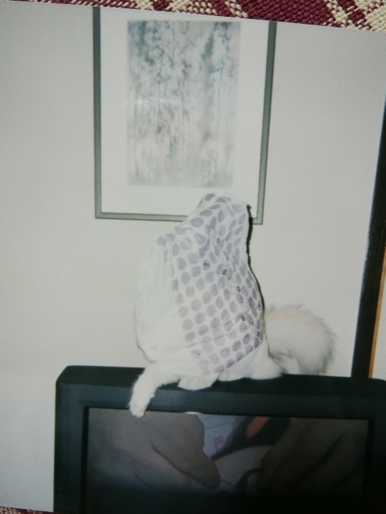16.06.03e550.jpg