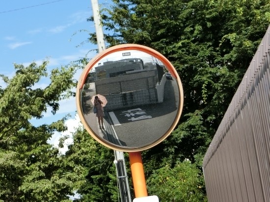 16.08.03d.jpg