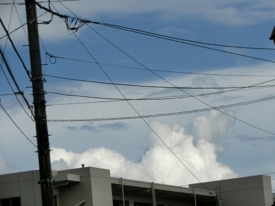 16.08.03e.jpg
