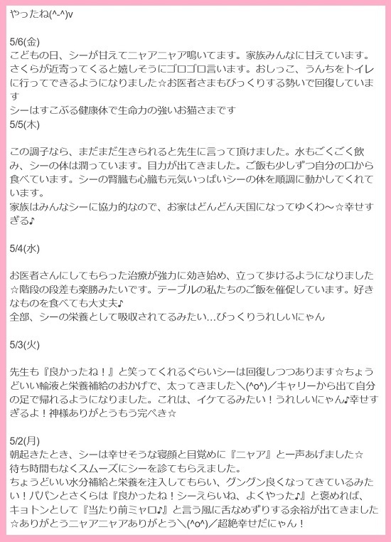 16.10.08h.jpg