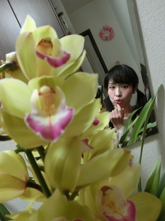 17.01.08f550.jpg