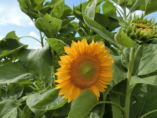 17.09.19.jpg