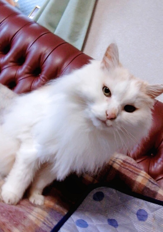 18.03.05i.jpg
