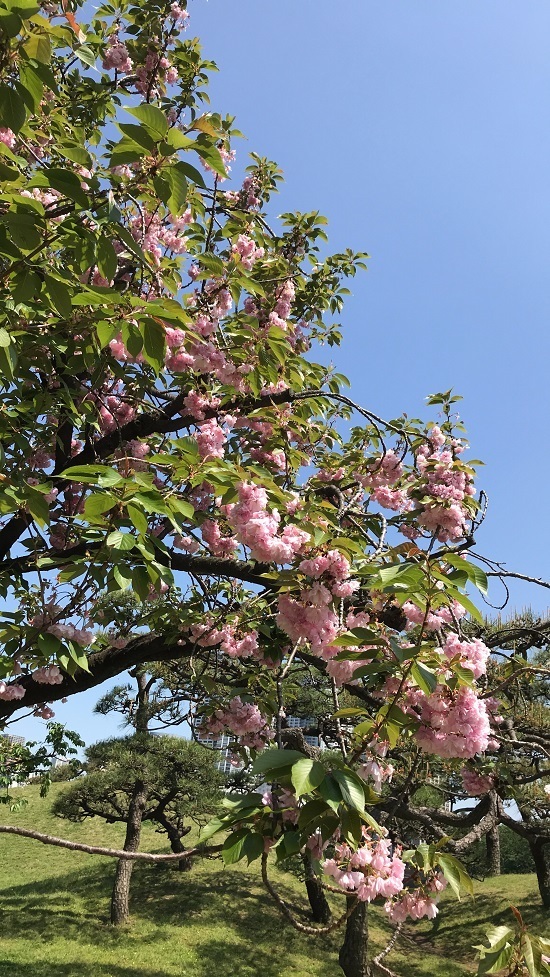 18.04.07a.jpg