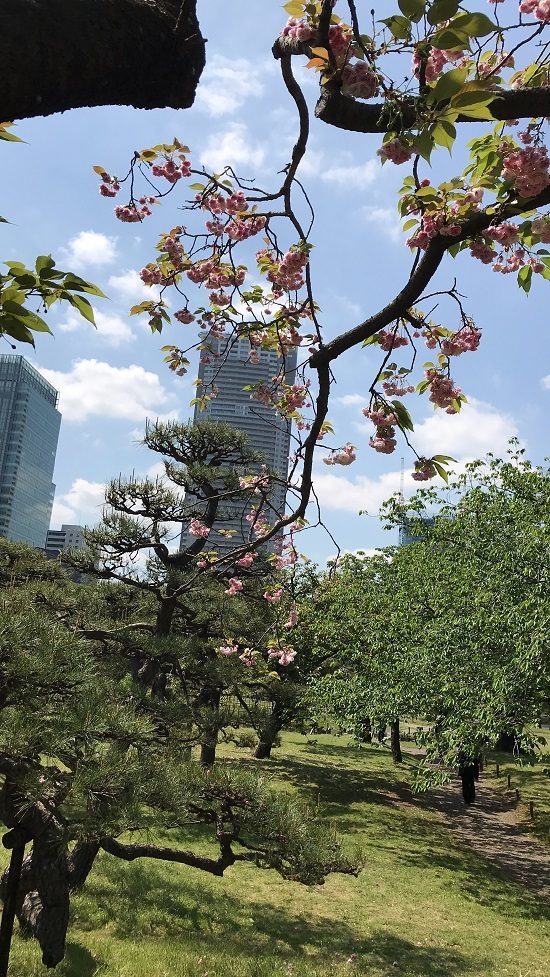 18.04.09.jpg