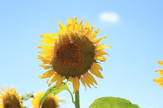 18.08.06e.jpg