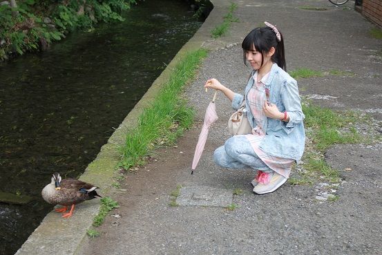 長門有希ちゃん 雪 無音 窓辺にて の奥深さにハマる 茅原実里さま 桜の奇跡が舞い降りる